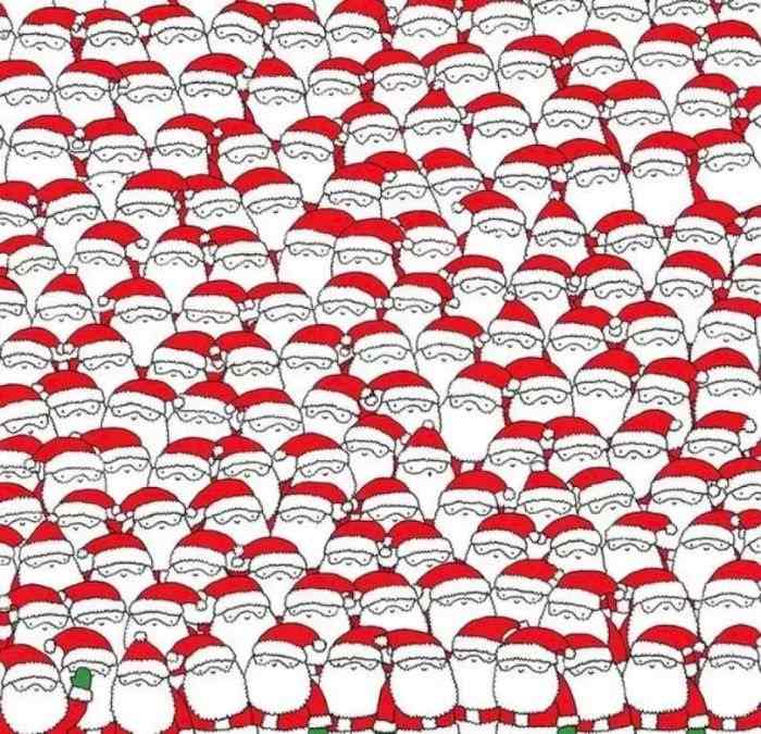 picture puzzles to spot hidden animals