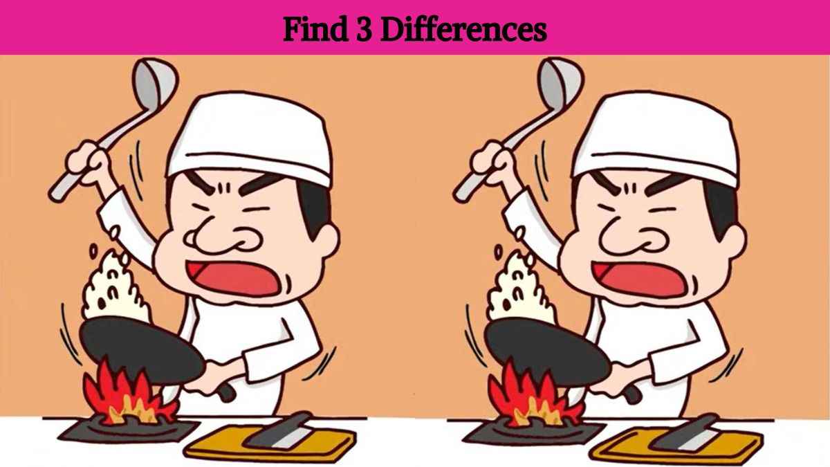 Find 3 differences between the chef cooking pictures in 15 seconds!