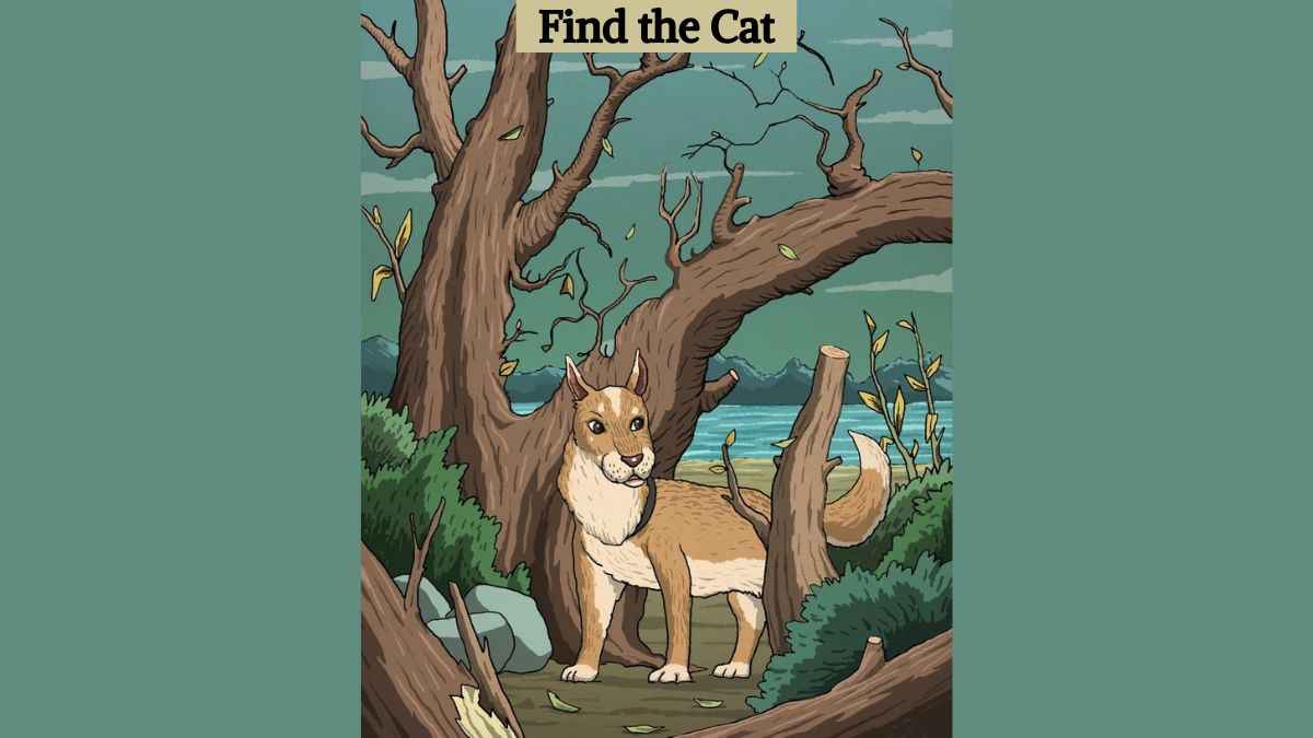 Optical Illusion: Find the hidden cat in the picture in 7 seconds!