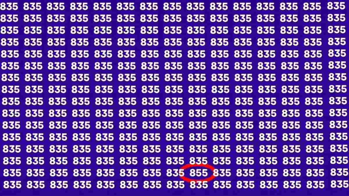 optical illusions with answers