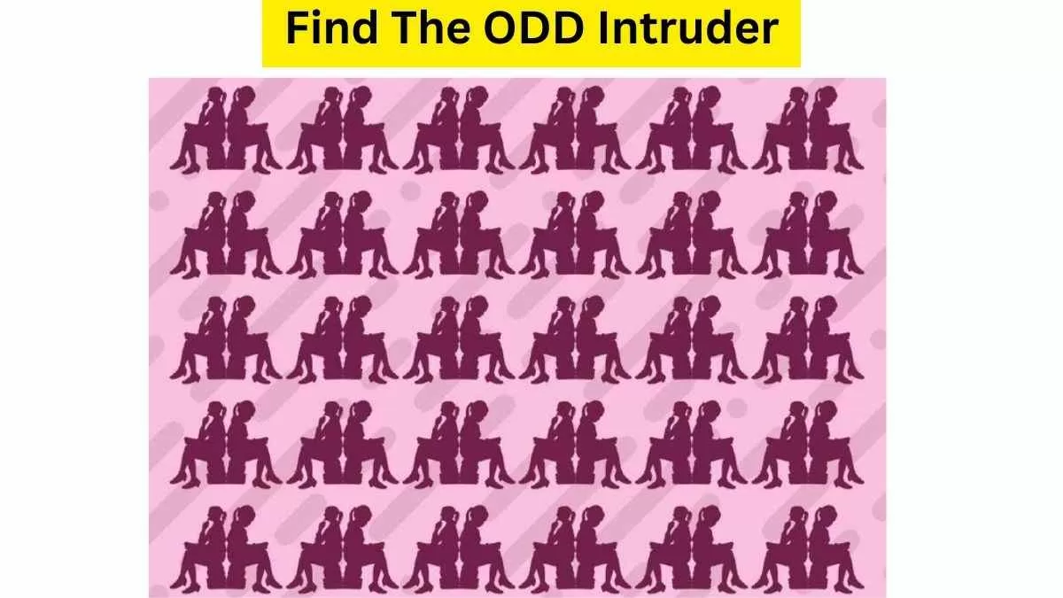 Spot The Intruder In The Picture!