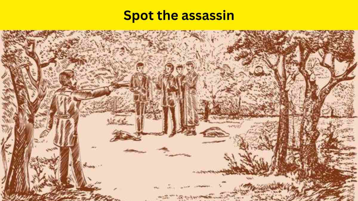 Only the 2% attentive people can spot the hidden assassin in the vintage picture within 6 seconds. 