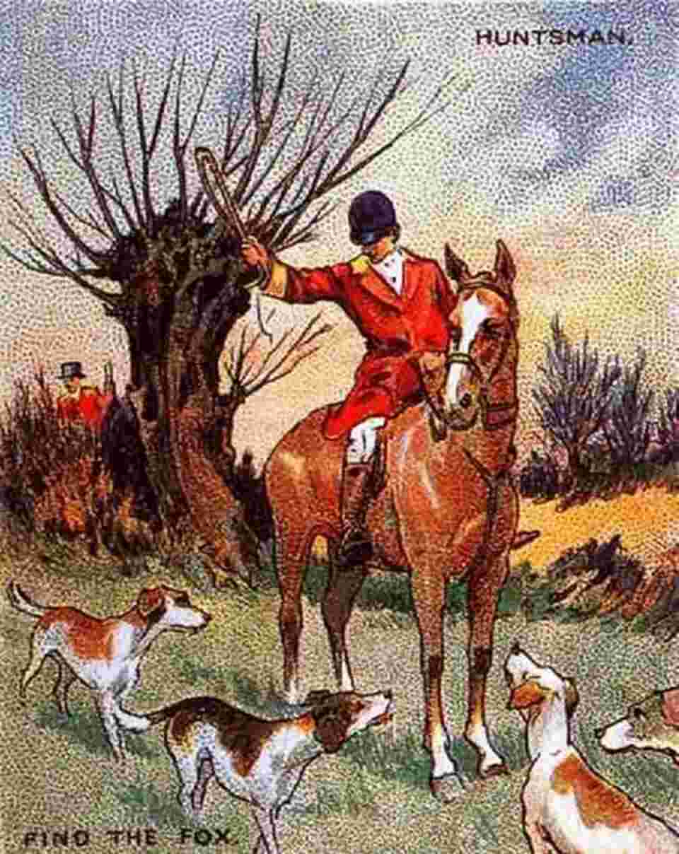 where is the fox in the picture