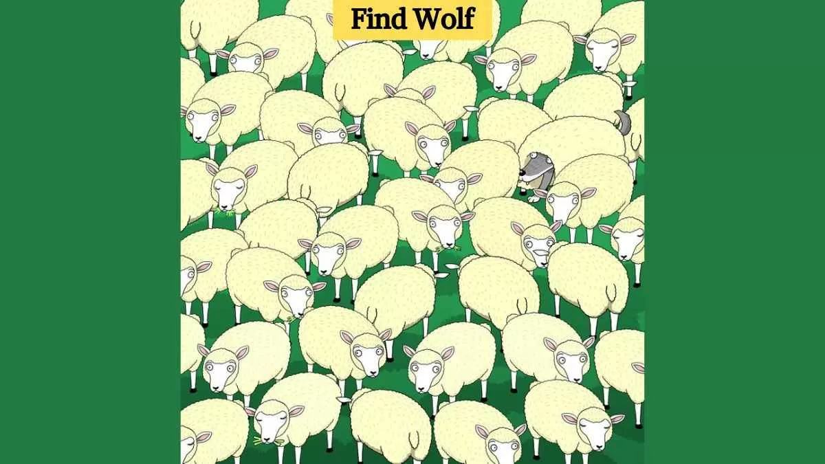 Find the hidden wolf