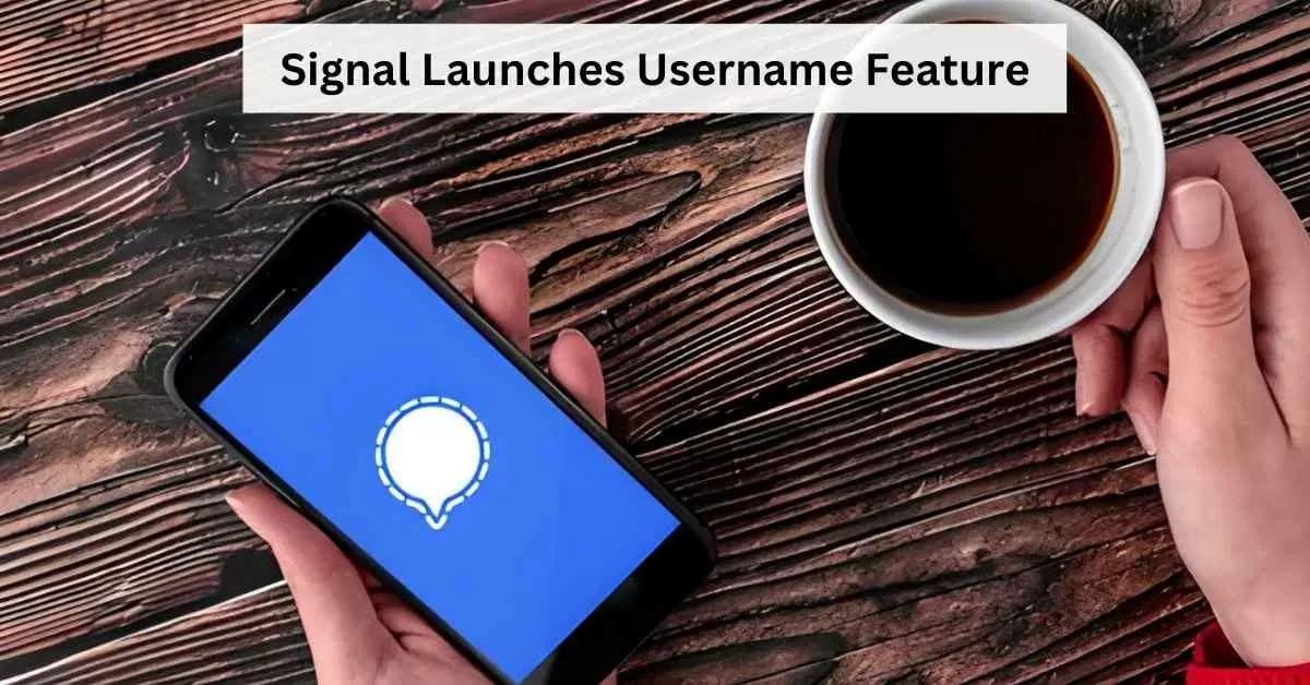 What is Signal’s Username Feature