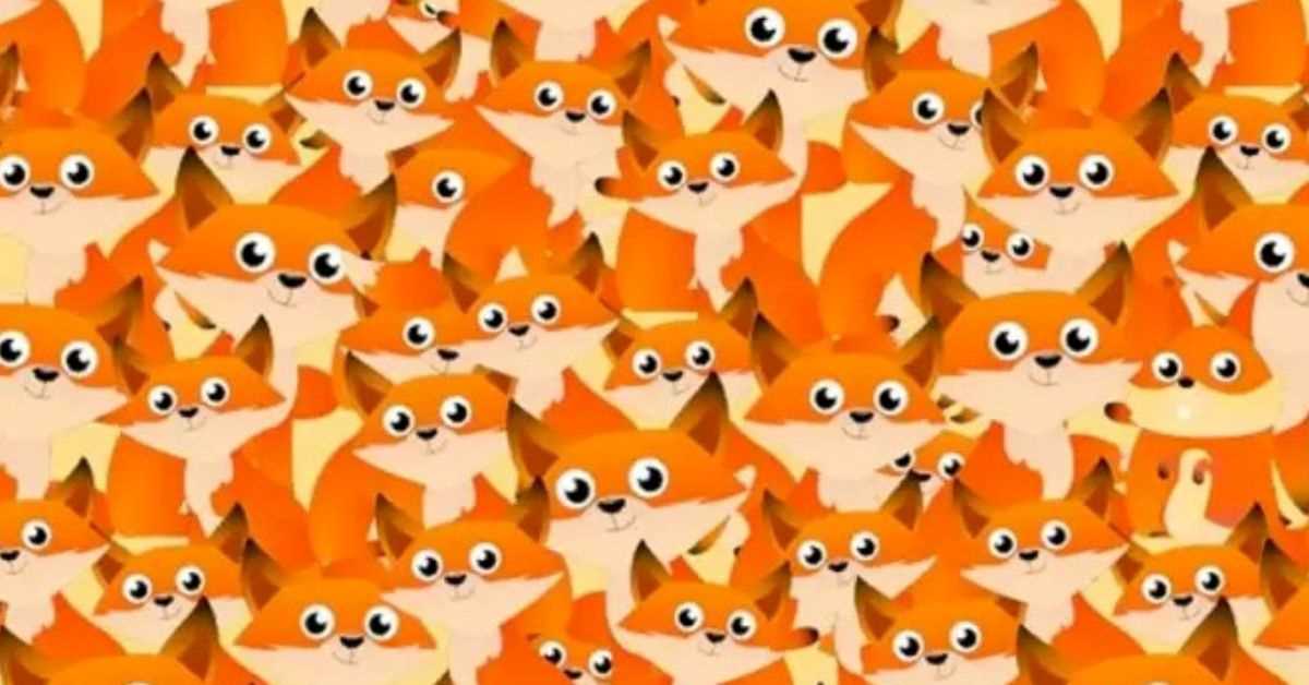 Seek and Find Puzzle: Will You Find the Squirrel Before Time Runs Out?