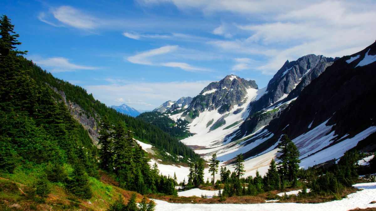 Oregon Map: Official Image, Population and Other Important Details