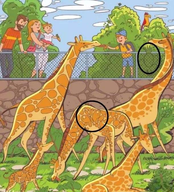 How Observant Are You? Spot A Pineapple and Butterfly In This Zoo Scene ...
