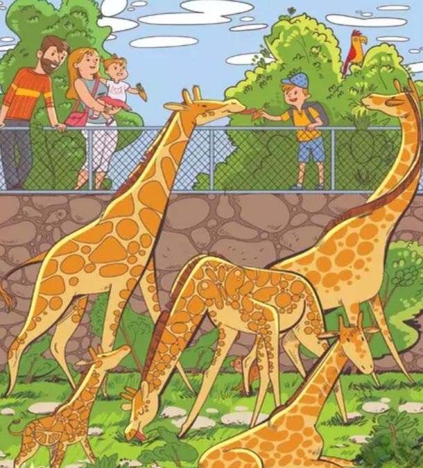 hidden objects optical illusions pictures