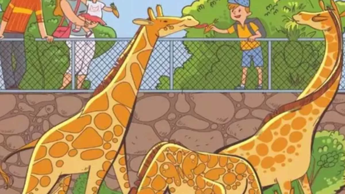 Can you spot a pineapple and butterfly in this zoo scene?