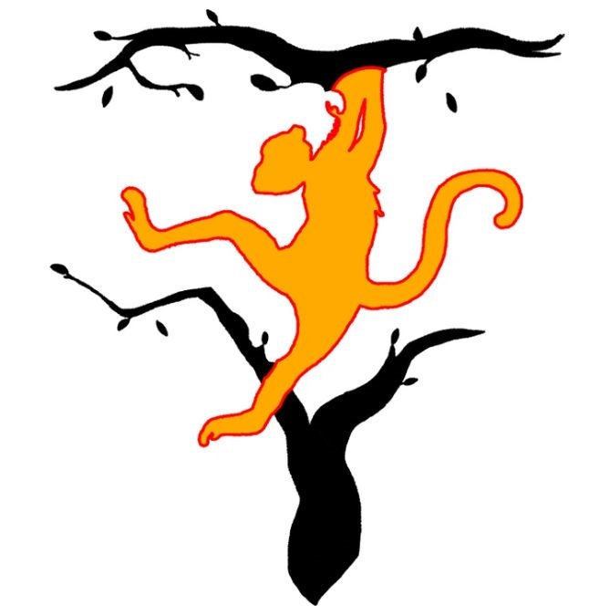 what do you see first personality test