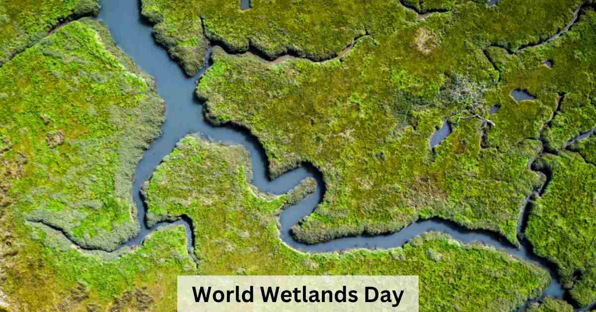 World Wetlands Day 2024: List of Newly Made Ramsar Sites in Karnataka and Tamil Nadu 