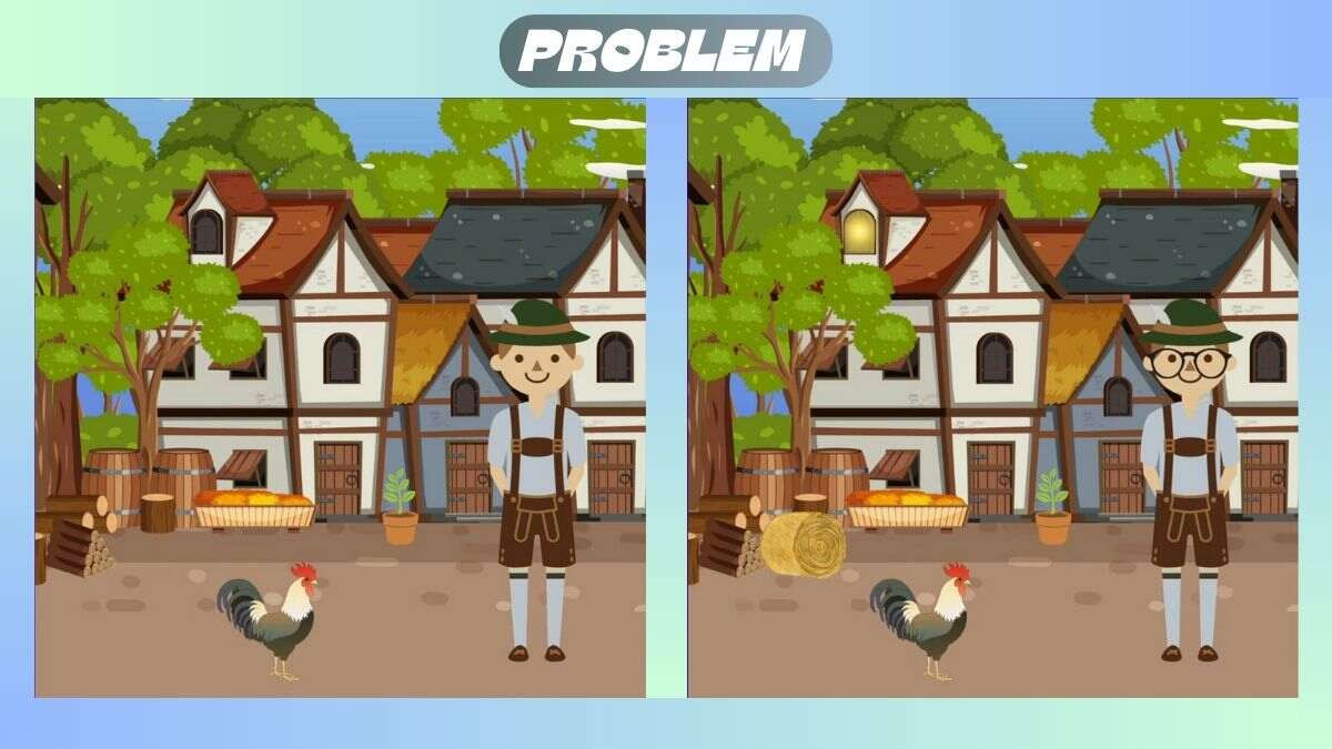 Find 3 Differences In 25 Seconds In This Barn Boy Picture