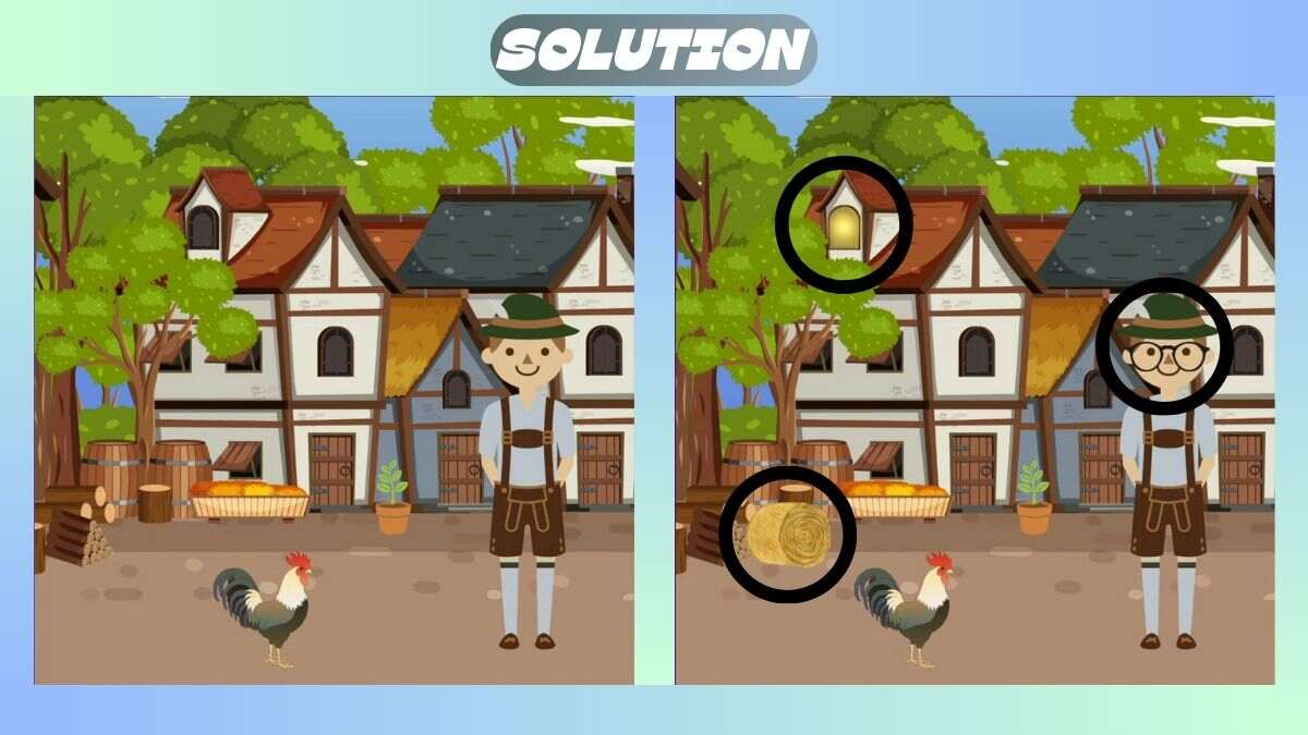 Find 3 Differences In 25 Seconds In This Barn Boy Picture