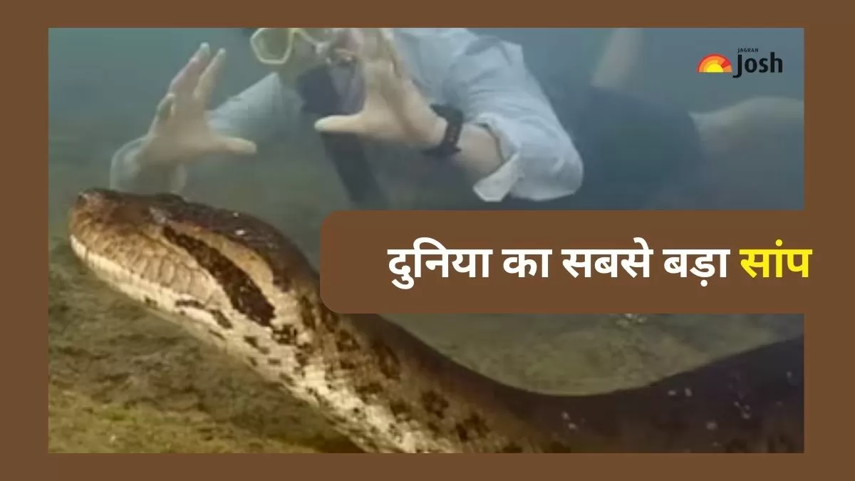 एनाकोंडा की नई प्रजाति की खोज