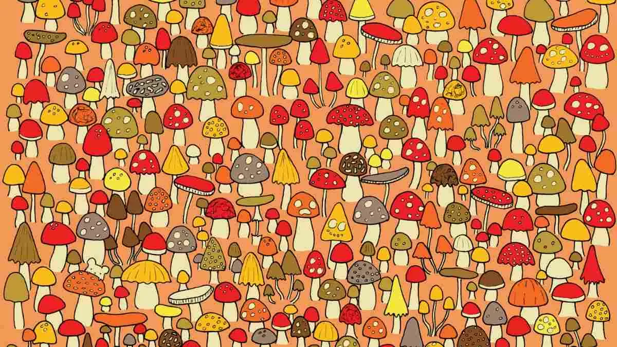 Can You Spot The Mouse In This Picture?
