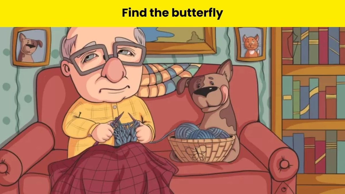 Can you find the butterfly?