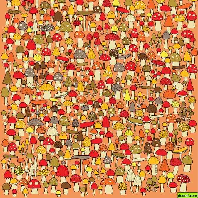 picture puzzles with hidden animals