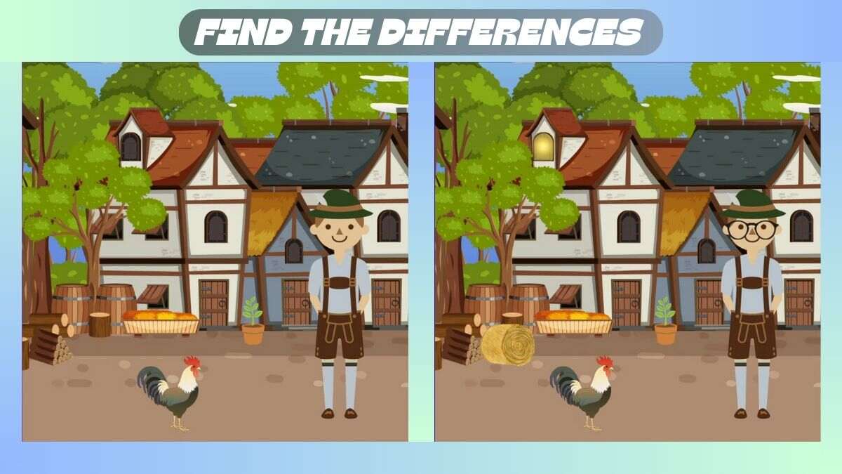 Find 3 Differences In 25 Seconds In Barn Boy Picture