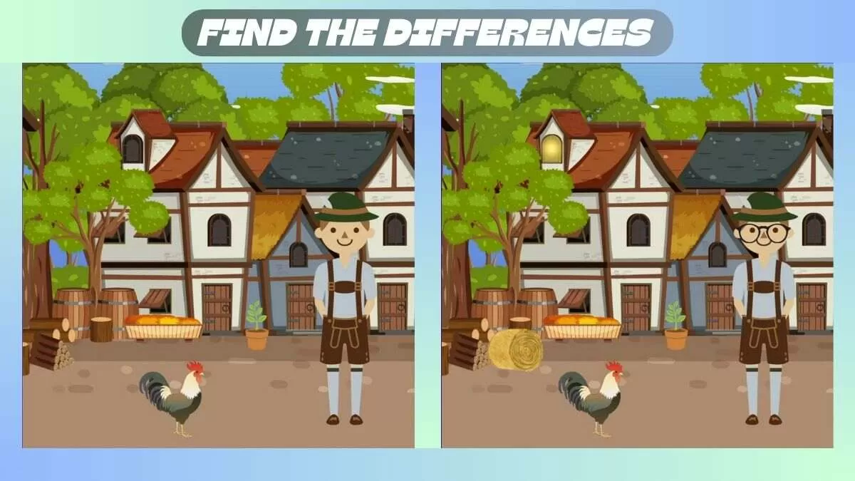 Find 3 Differences In 25 Seconds In This Barn Boy Picture