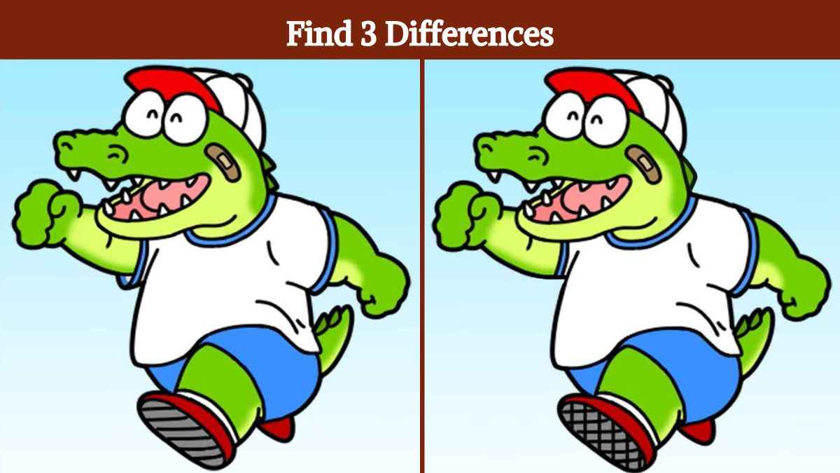 Find 3 differences between the crocodile pictures in 16 seconds!