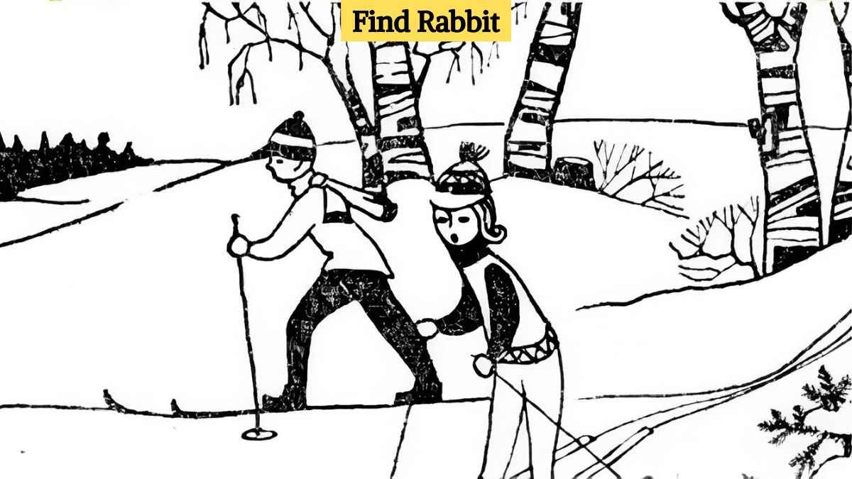 You are a puzzle champion if you can spot a rabbit in the skiing scene in 9 seconds!