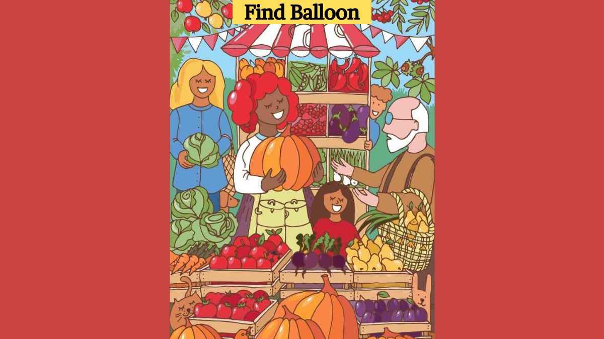 Optical Illusion: Find the hidden balloon in the market in 7 seconds!