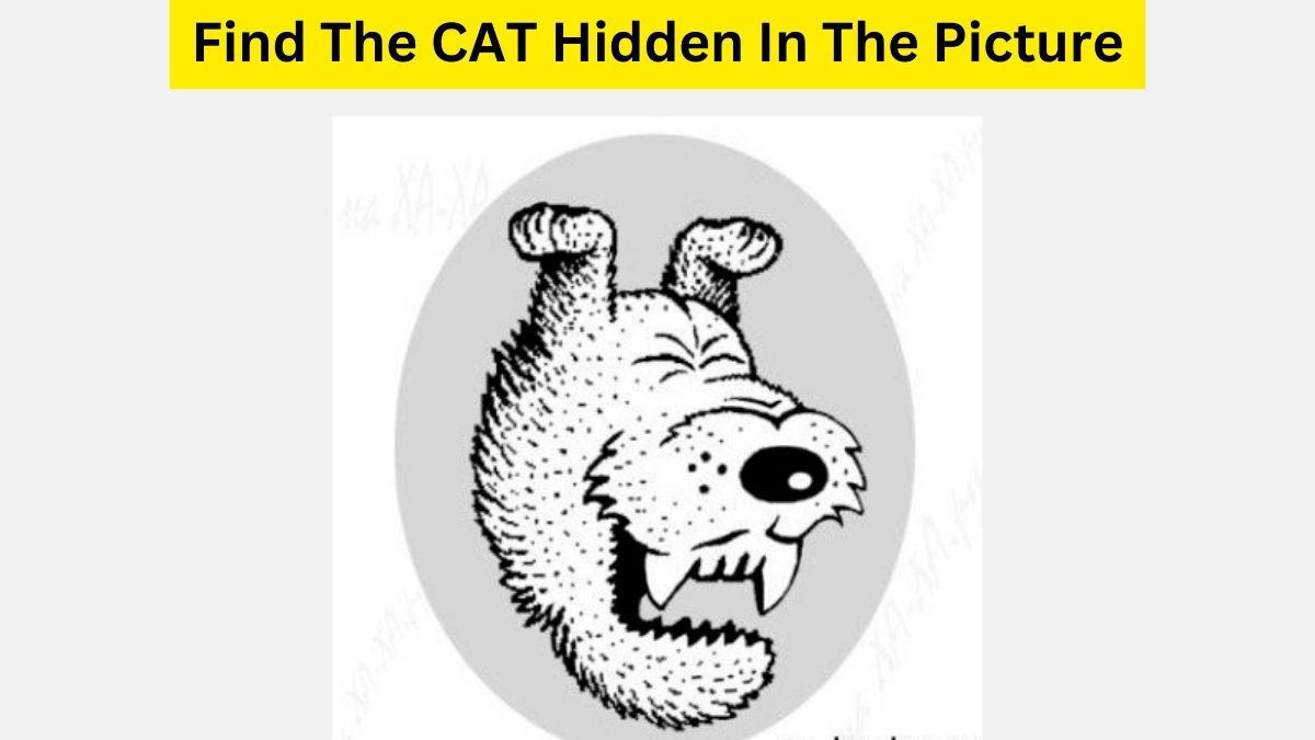 Cat OR DOG? Use Your Visual Prowess To Find The KITTY In This Happy Pooch Puzzle. 7 Seconds Left!
