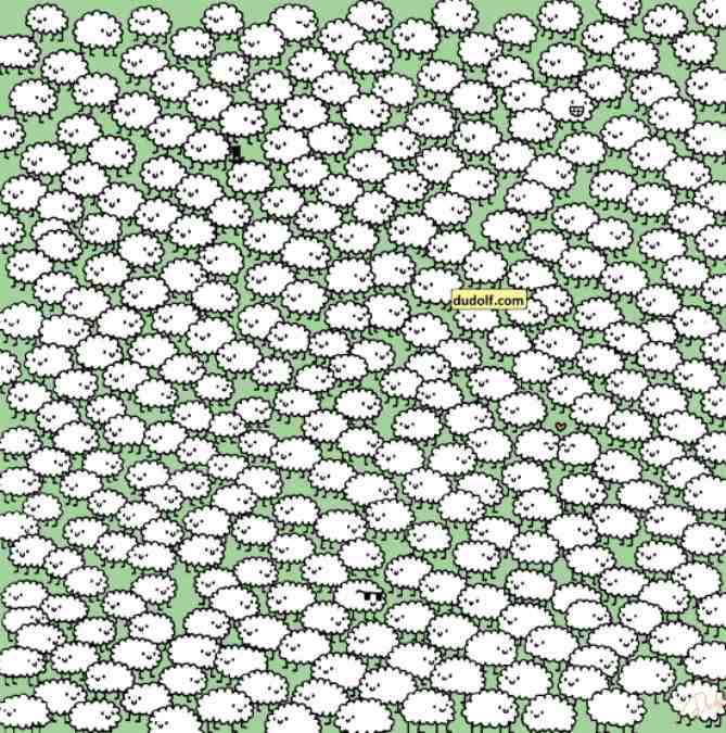 optical illusions iq test