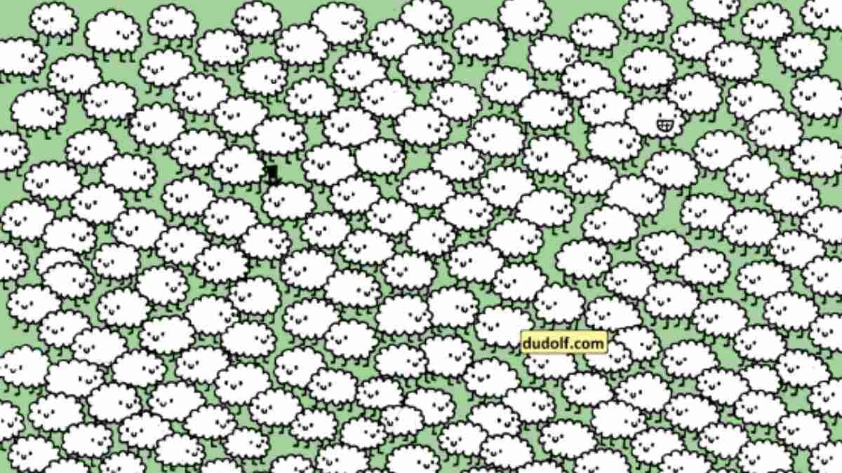 Only 1% With Eagle Vision Can Spot Three Clouds In 11 Seconds!