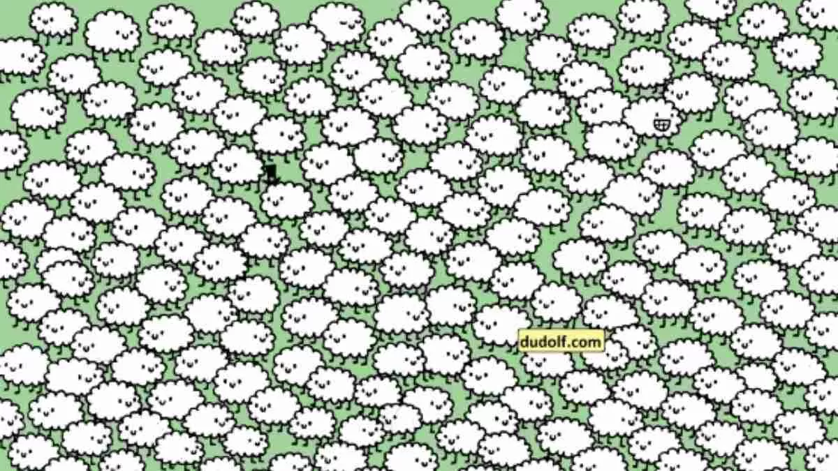 Can You Spot Three Hidden Clouds?