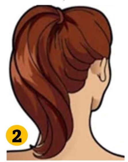 Ponytail Hairstyle Personality Traits