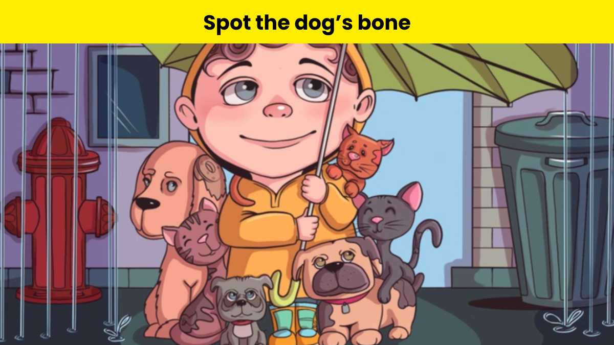 9 out of 10 people fail to spot the dog’s bone hidden in the rainy picture within 6 seconds. 