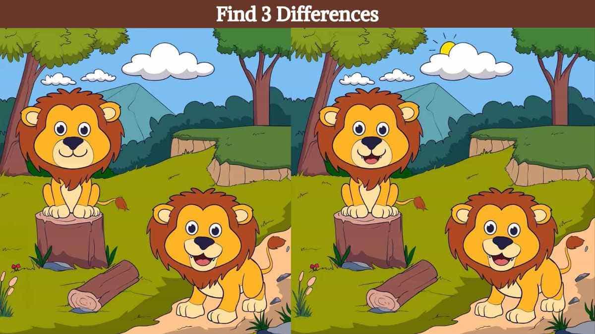 Find 3 differences between the pictures of two lion cubs in 15 seconds!