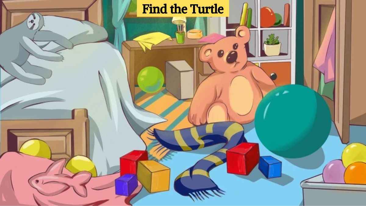 You have the sharpest eyes if you can find the turtle in the bedroom in 5 seconds!