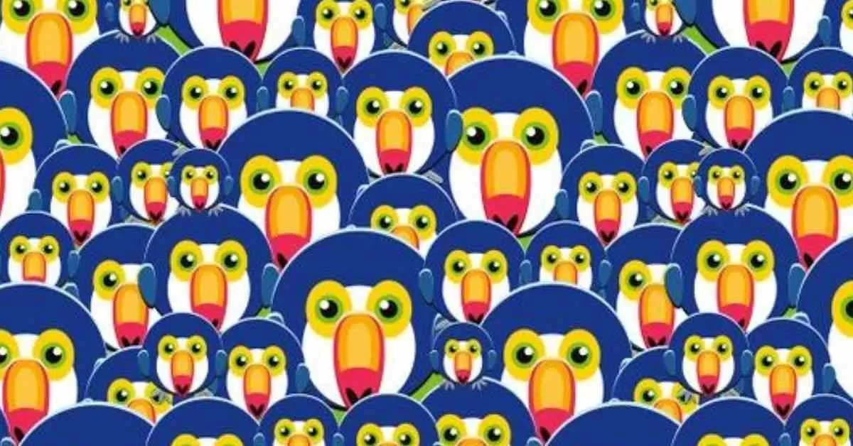  Spot the Different Bird in 11 Seconds