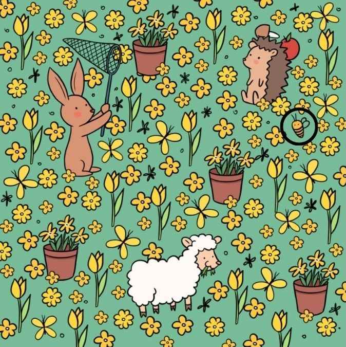 picture puzzles with answers