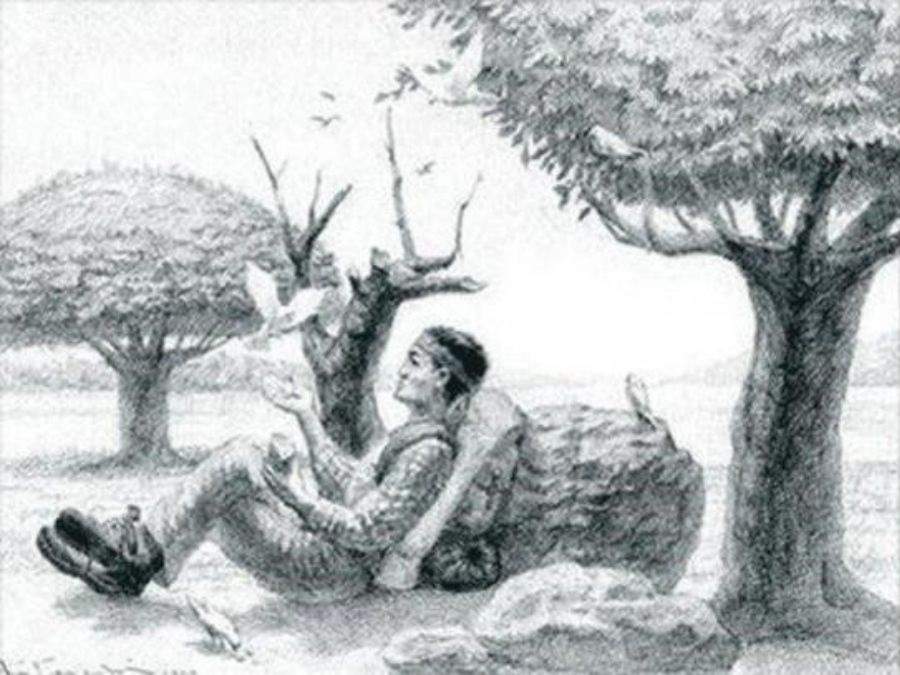 hidden animals optical illusions iq test