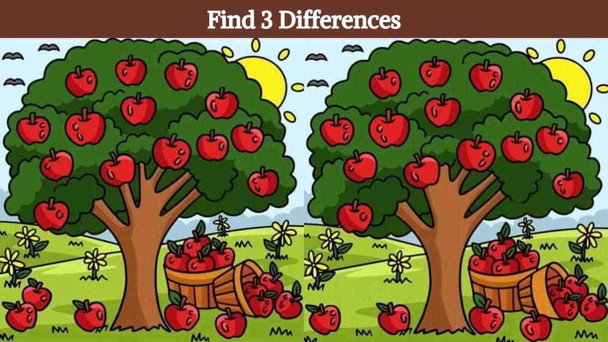 Find 3 differences between the apple tree pictures in 19 seconds!