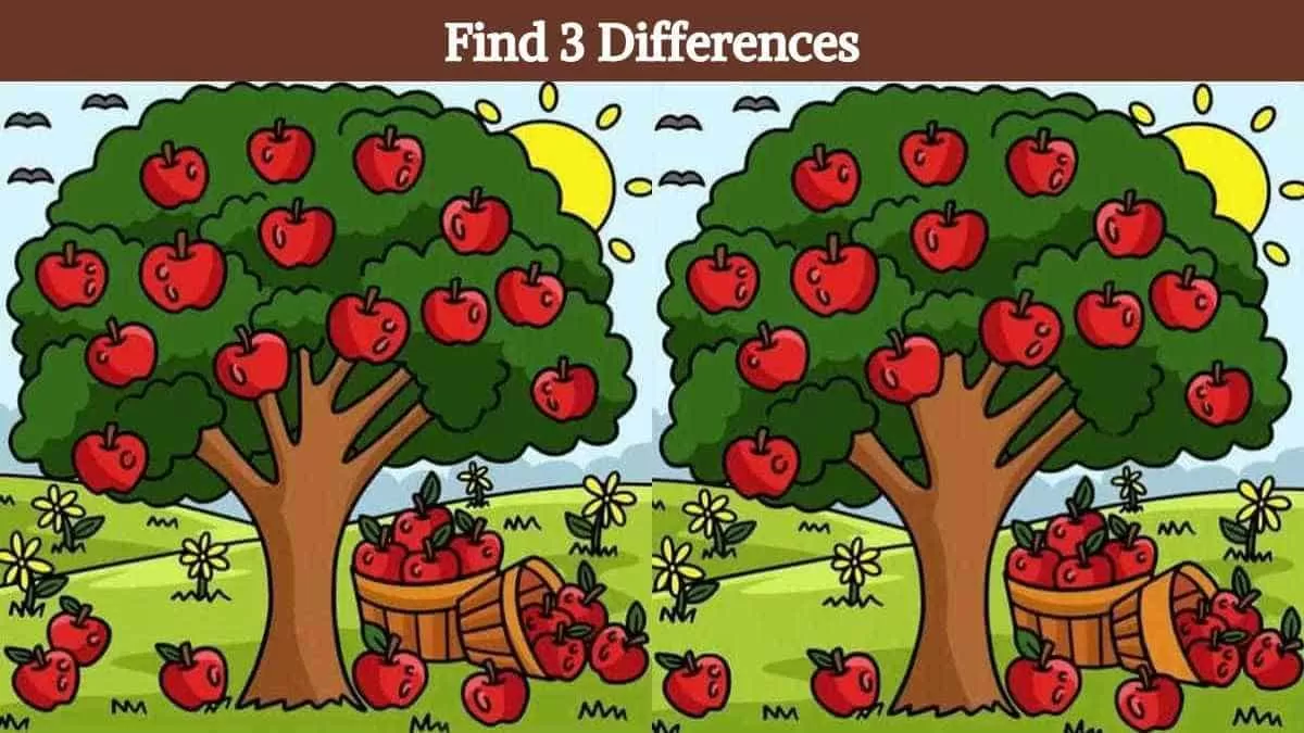 Find 3 differences in 19 seconds