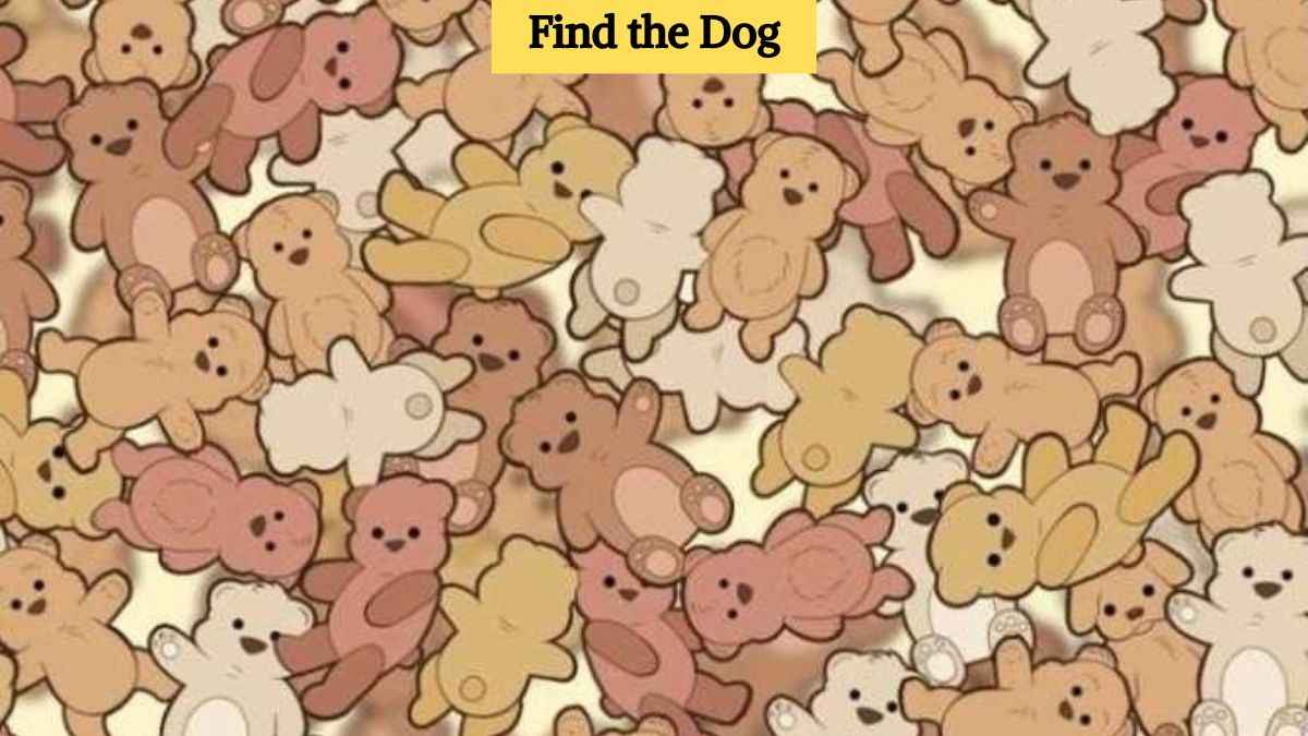 You have sniper vision if you can spot a dog among the teddy bears in 7 seconds!
