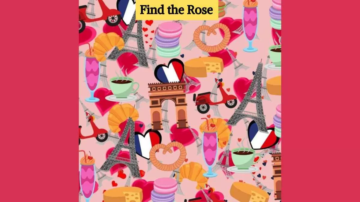 Find the rose