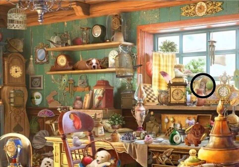 picture puzzles with answers