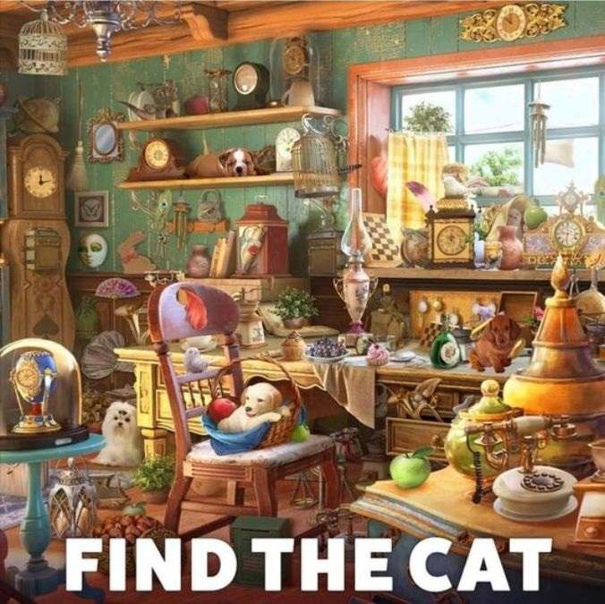 picture puzzles to find hidden animals