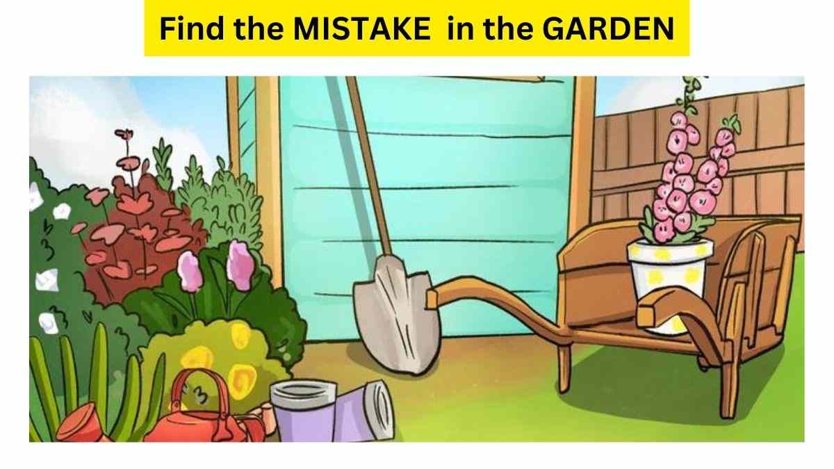 1 Minute Brain Teaser: Can You Find Mistake In The Backyard Picture?