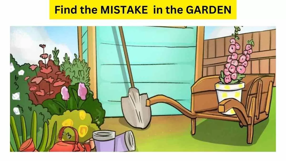 Spot The Mistake In The Picture!