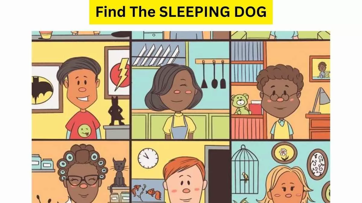 Do You See A Sleeping Dog Here?
