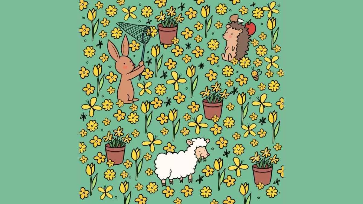 Spot The Hidden Bee