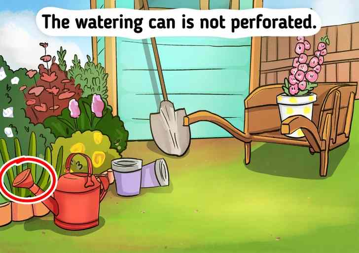 the mistake in the backyard