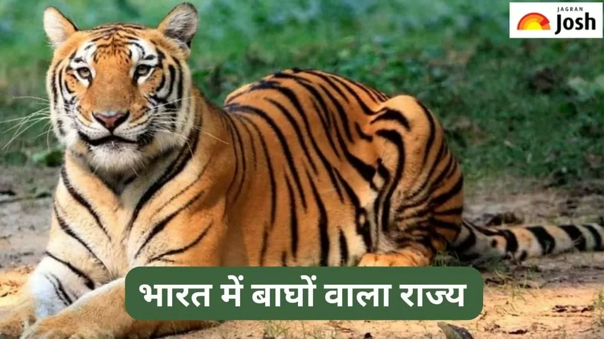 बाघों वाला राज्य